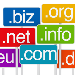 Domain Renewal